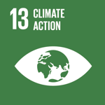SDG Icon 13