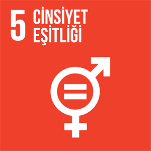 SDG 5